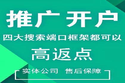 百度SEO推广技巧案例分析